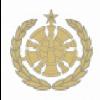 9b - Command Fire Chief